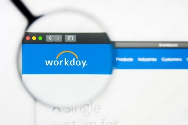 Workday software consultants