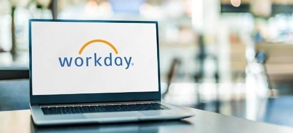 Workday Consultants